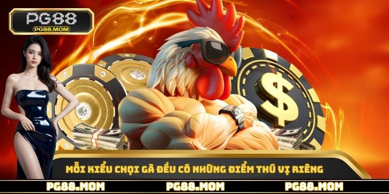 Mỗi kiểu chọi gà đều có những điểm thú vị riêng