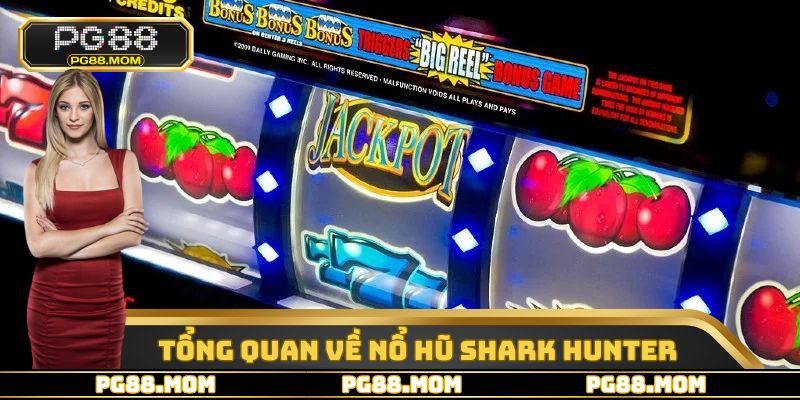 Tổng quan một số thông tin cơ bản về sảnh nổ hũ shark hunterTổng quan một số thông tin cơ bản về sảnh nổ hũ shark hunter